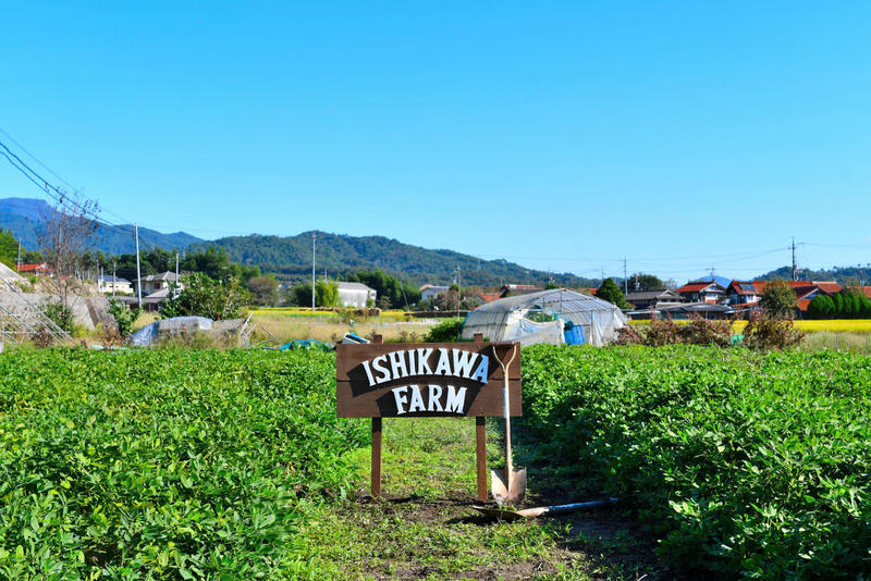 DSC_0096.JPGのサムネイル画像